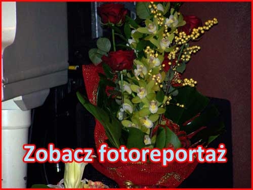 fotoreportaż